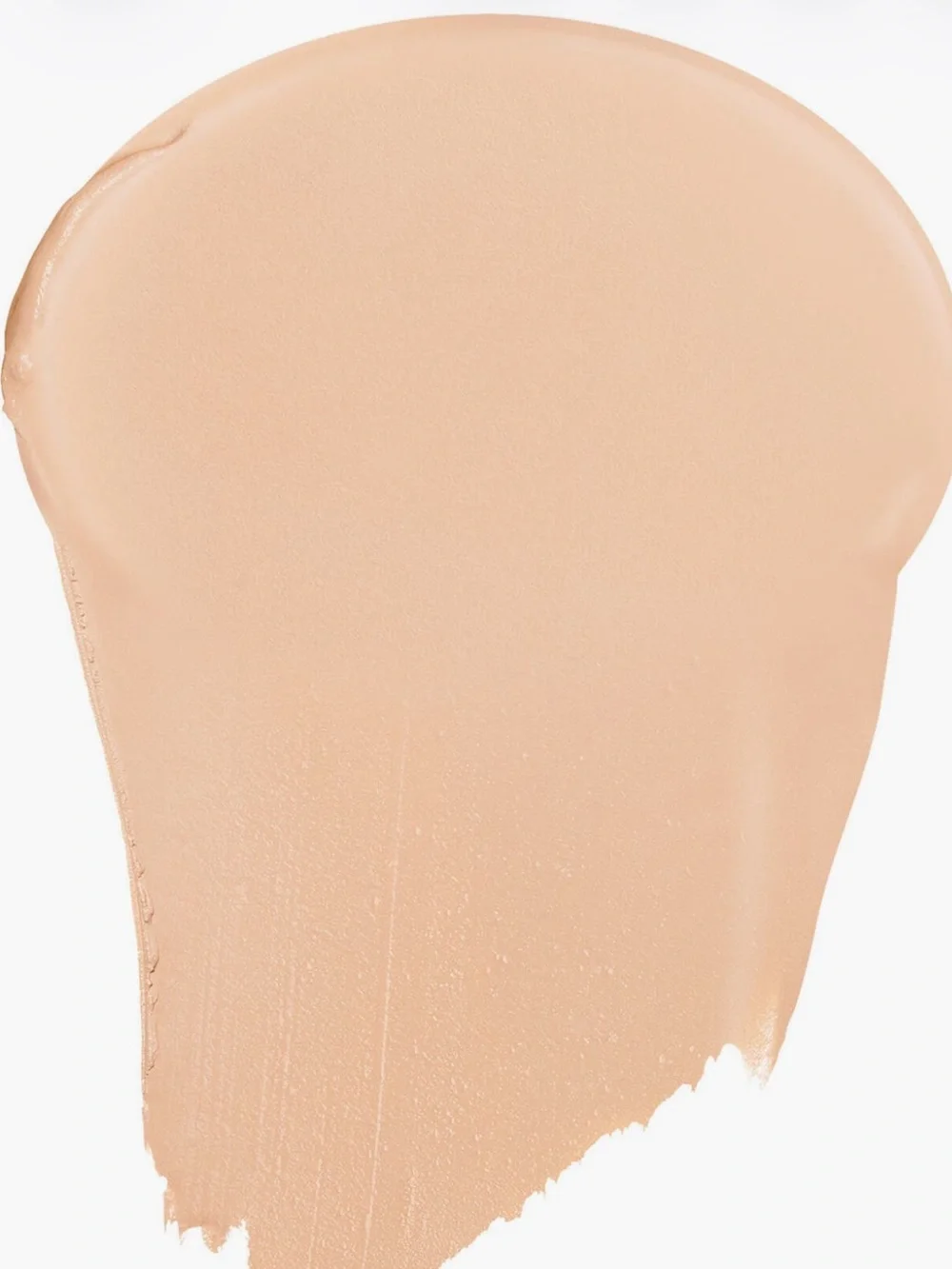 DIOR Forever Skin Perfect Stick Foundation 2N